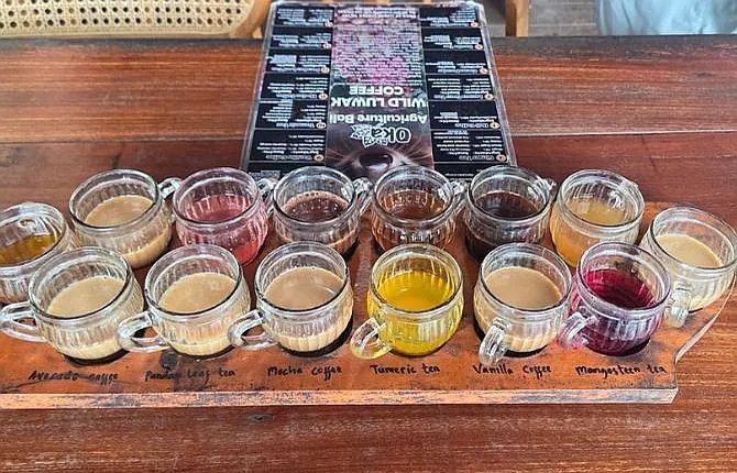 Balinese coffee and tea tasting at a traditional plantation in Bali